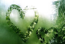 欧博:国乒回应了!严肃对待、及时总结!央视财经.