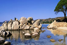 欧博:足协公布首批完成债务清欠名单 中超三队未上榜中新体坛.